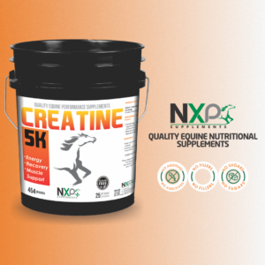 CREATINE 5K - Energy, Endurance, Stamina, Muscle support and recovery - Powder - 25 lb