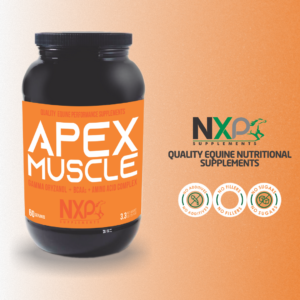 APEX MUSCLE, BODY & STRENGTH Builder 3.3 lb