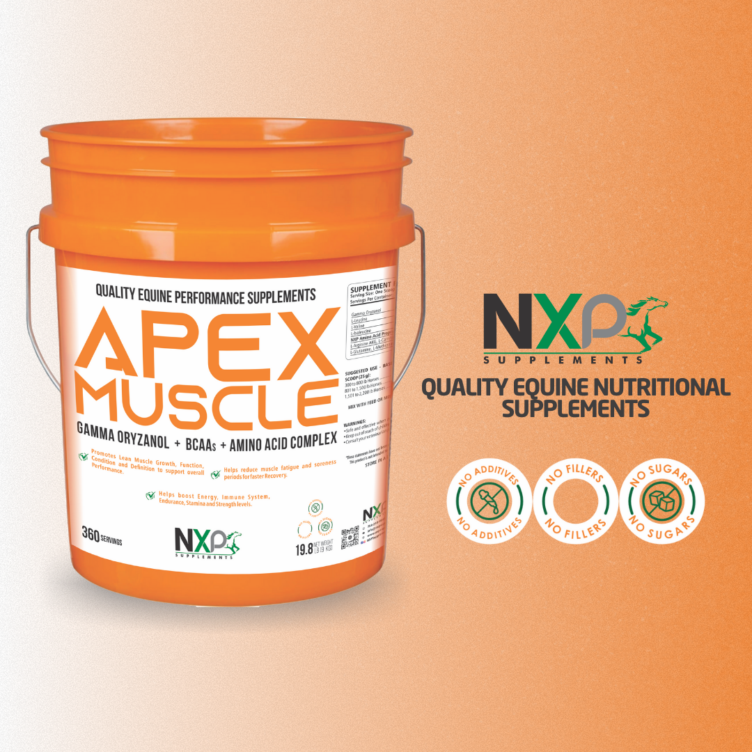 APEX MUSCLE, BODY & STRENGTH Builder 19.8 lb