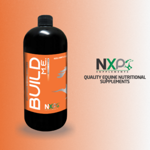 BUILD ME - Muscle and Energy Builder Liquid - Quart