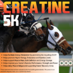 CREATINE 5K – Energy, Endurance, Stamina, Muscle support and recovery – Powder – 25 lb - Imagen 2