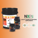 CREATINE 5K – Energy, Endurance, Stamina, Muscle support and recovery – Powder – 25 lb - Imagen 4