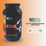 CREATINE 5K – Energy, Endurance, Stamina, Muscle support and recovery – Powder – 5 lb