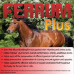 FERRUM PLUS – Iron Rich Blood Builder, Multivitamin & Amino Acids Daily Energy Support – Gallon - Imagen 2