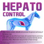 HEPATO CONTROL – Liver Support, Detox and Protection Liquid – Quart - Imagen 4
