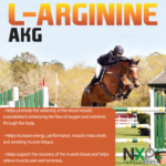 L-ARGININE AKG – Nutrient Flow, Vasodilation, Energy, Performance, Muscle Support & Recovery Powder – 1 lb - Imagen 2