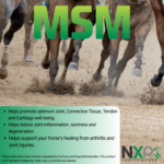 MSM – Healthy Joint Support Powder – 25 lb - Imagen 2