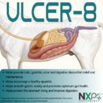 ULCER-8 – Ulcer, Colic, Gastritis Relief and Digestive Support Liquid – Quart - Imagen 2